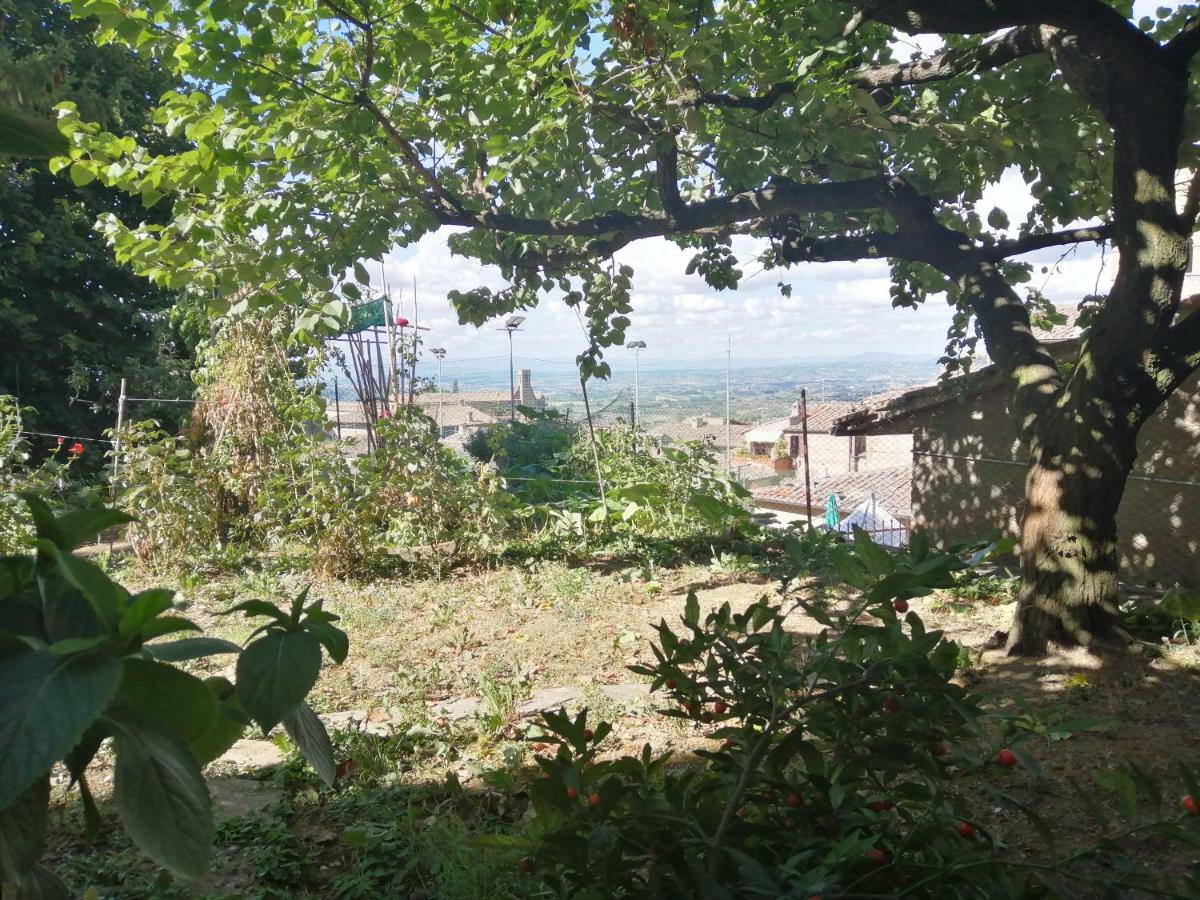 Orto Di Emma Apartment San Gimignano Ngoại thất bức ảnh