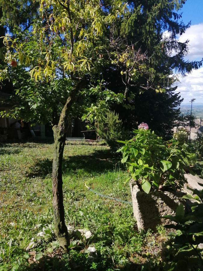 Orto Di Emma Apartment San Gimignano Ngoại thất bức ảnh